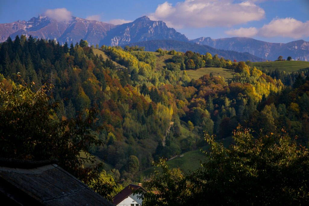 Forested hills and mountain ridges in Transylvania, Romania