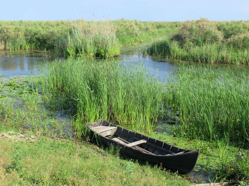 A wooden boat beside a reed-lined channel at Crișan in the Danube Delta