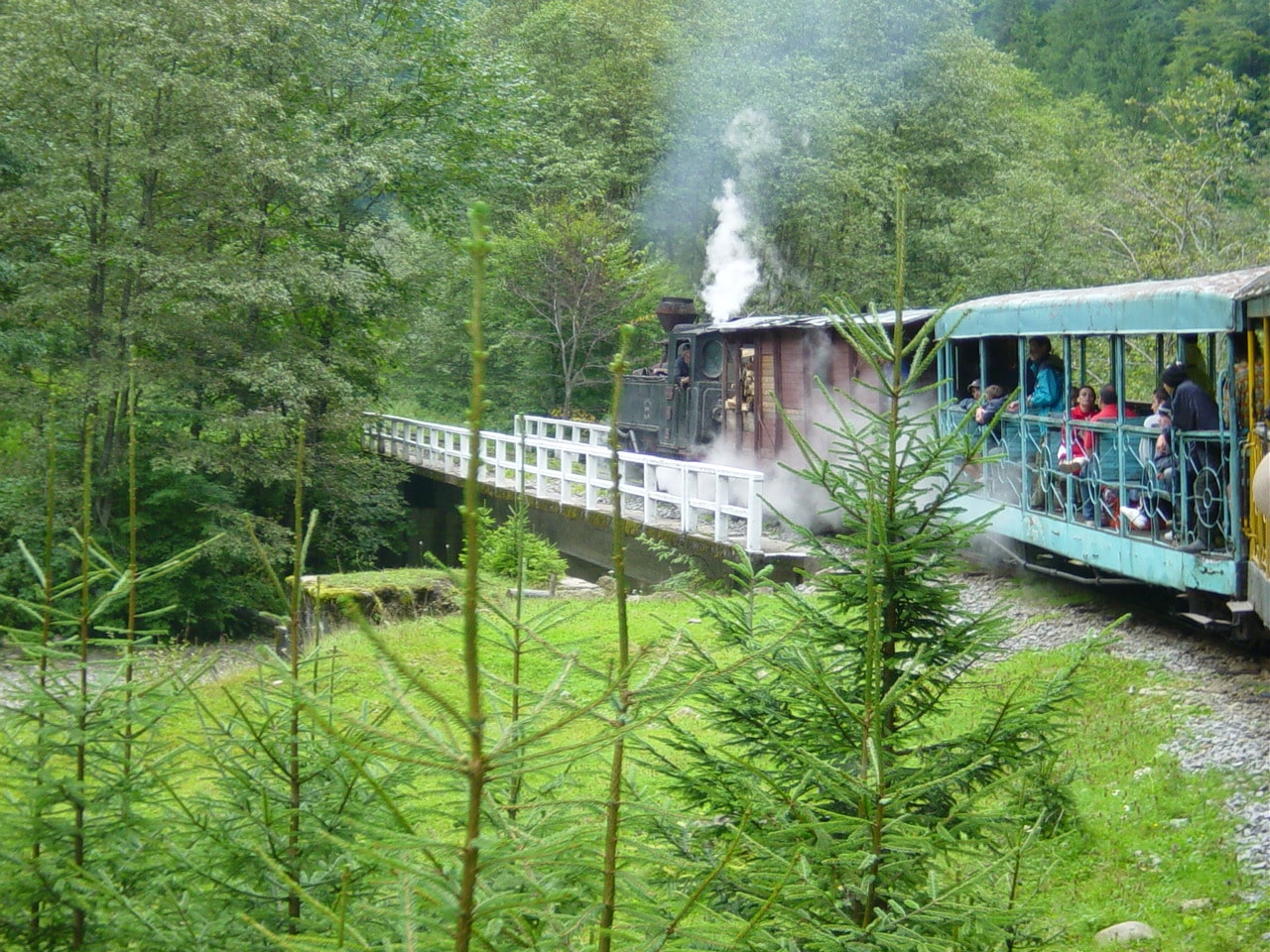 Mocănița train on the Vaser Valley railway near Vișeu de Sus
