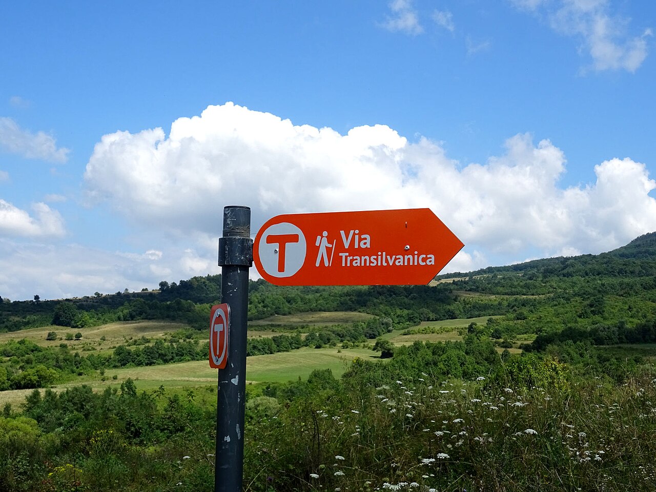 Via Transilvanica walking-route sign near Inlăceni in Harghita